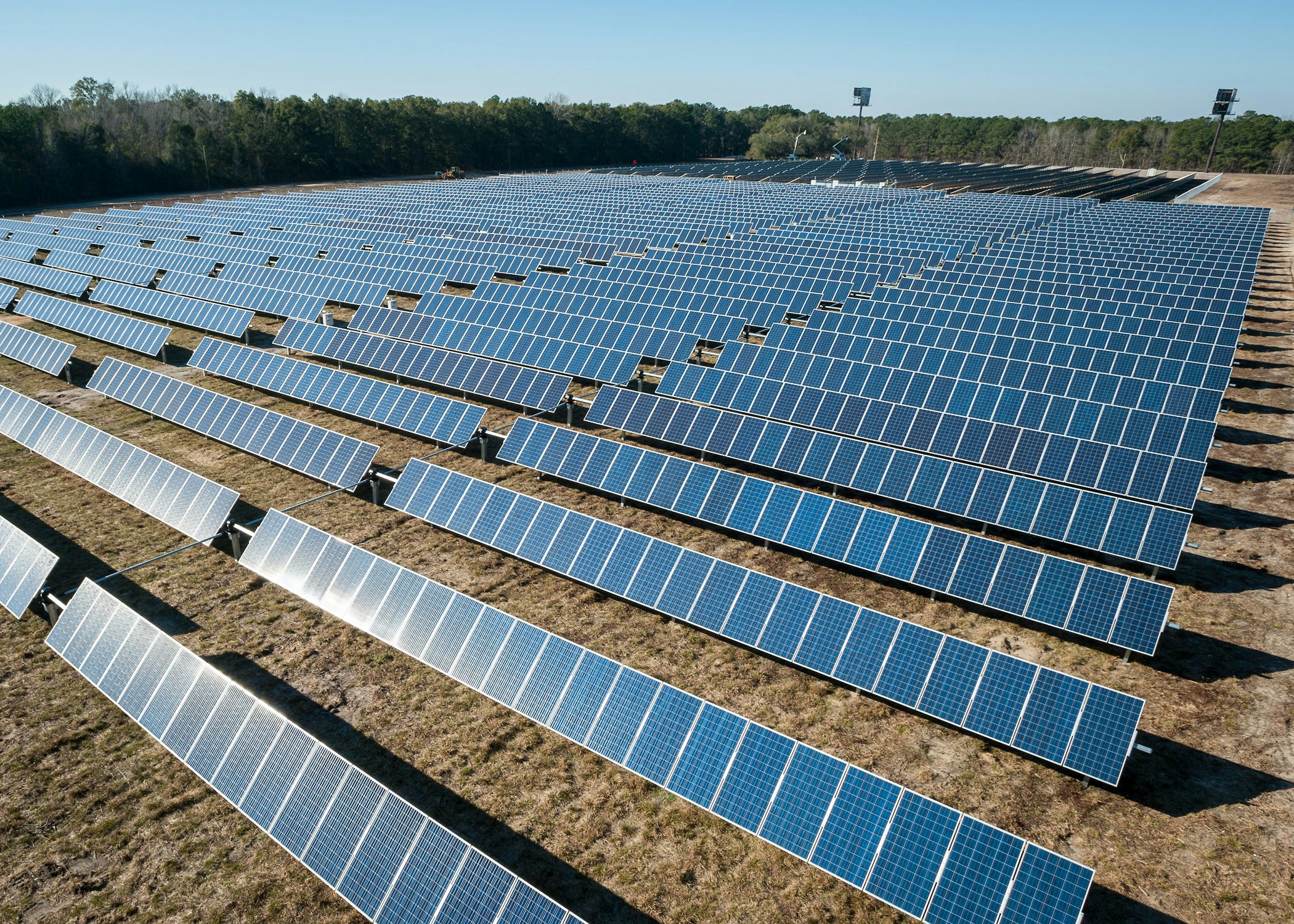 Aerial view of expansive solar panel farm with blue photovoltaic arrays arranged in rows across open field with forest backdrop