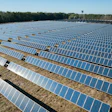 Aerial view of expansive solar panel farm with blue photovoltaic arrays arranged in rows across open field with forest backdrop
