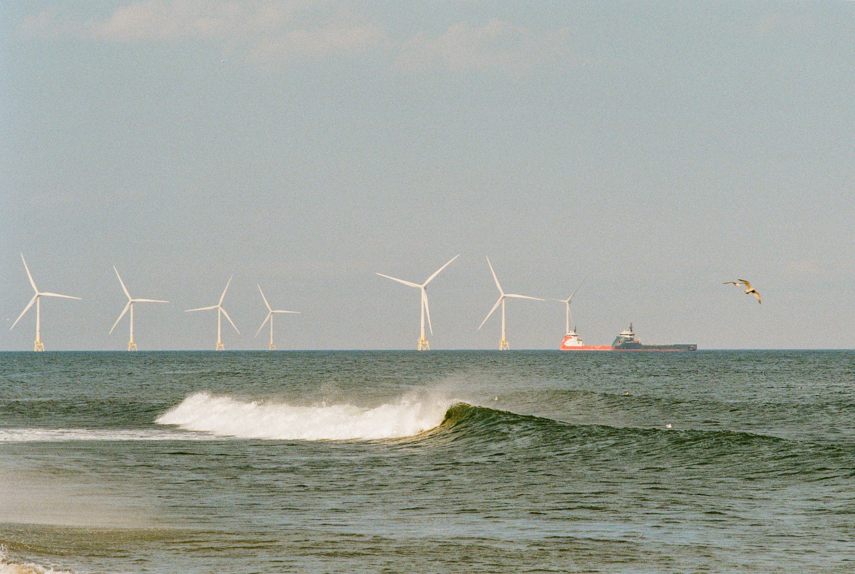 Offshore wind turbines line the horizon beyond breaking waves on a sandy beach, with a cargo ship and seabird visible in the distance