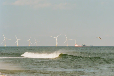 Offshore wind turbines line the horizon beyond breaking waves on a sandy beach, with a cargo ship and seabird visible in the distance