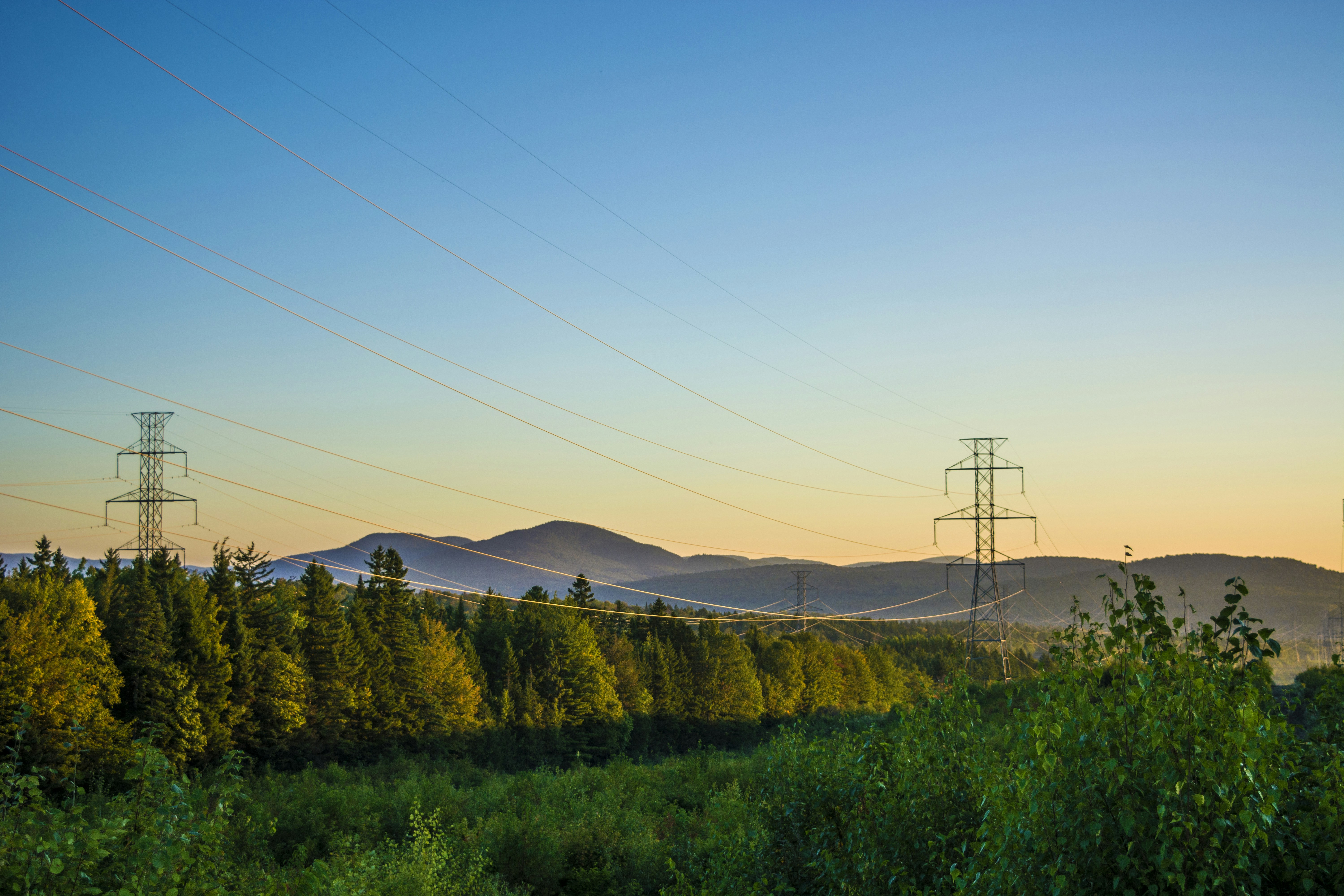 Power transmission towers spanning across forested valley at sunset with mountains in background