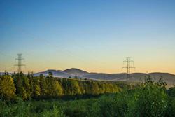 Power transmission towers spanning across forested valley at sunset with mountains in background